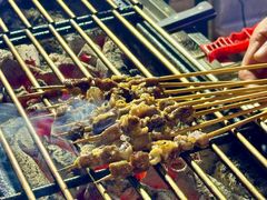 -山野的朋友露营炭火烤肉