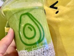 -油梨树AVOCADO TREE(嘉里中心店)