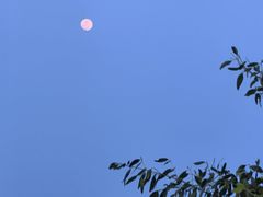 -沙头涌渔栏海鲜餐厅