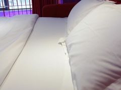 -天鹅恋主题酒店(光谷广场步行街店)