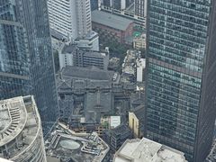 -WFC会仙楼观景台
