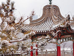 -白塔山公园