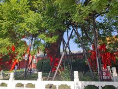 -药王庙(安国市)