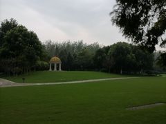 -合肥滨湖国家森林公园