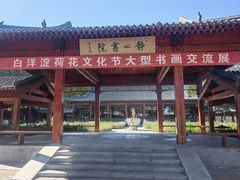 -白洋淀景区