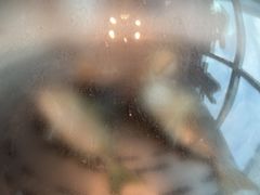 -青蓬蒸汽海鲜·深圳老字号·团建聚会(壹方城店)