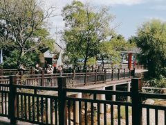 -崂山仰口游览区