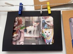-瑞派康怡24h宠物医院·犬猫医疗中心·微创绝育(瑞景分院)