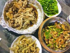 -鲤鱼塘农家山庄