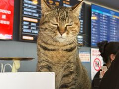 -宝山流光速国际赛车场(宝山店)