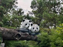 -安吉竹博园