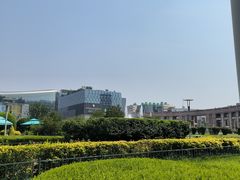 -泉城广场