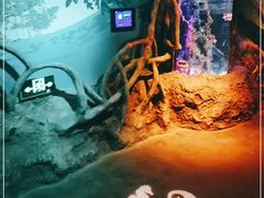 -沈阳海洋探索中心