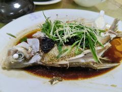 清蒸鲈鱼-荣兴河鲜楼(江口店)