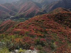 -山西壶关太行山大峡谷旅游景区