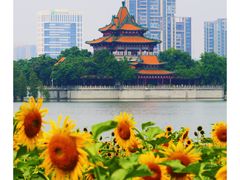 -顺峰山公园
