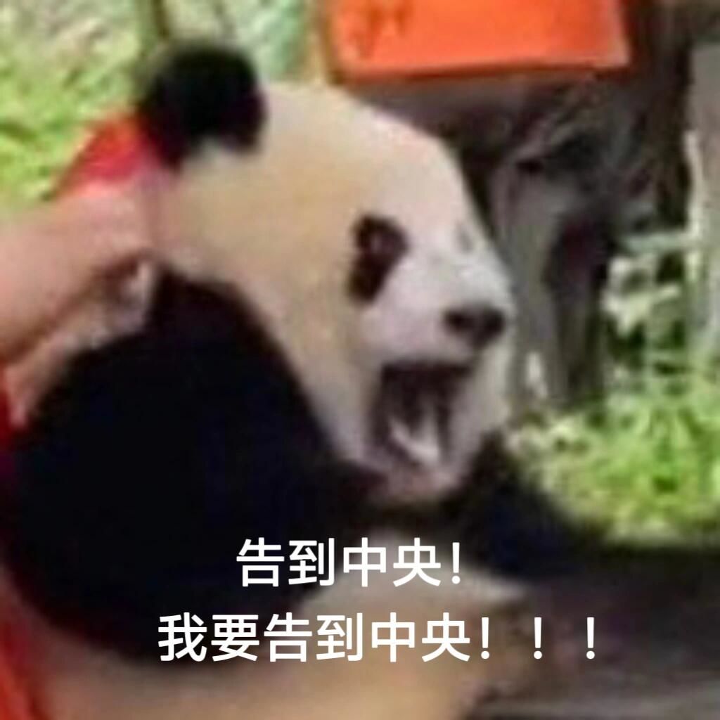 精神状态"良好"的大熊猫表情包