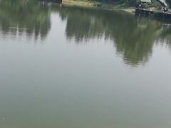 -御汤山生态园