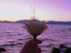 -呈贡滇池生态湿地公园