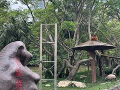 -深圳野生动物园