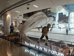 -冰纷万象滑冰场(深圳万象城店)