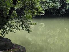 -广西壮族自治区药用植物园