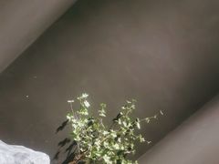 -一朵菌·野生菌探索家火锅(南亚店)