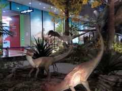 -湖南省地质博物馆