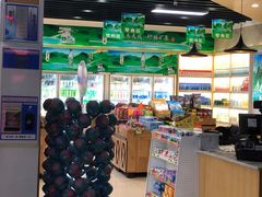 -平望服务区·停车场