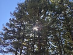 -塞罕坝国家级自然保护区