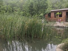 -白水寺森林公园