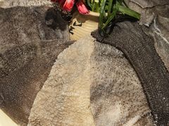 精品毛肚-小王少龙火锅(沙南街店)