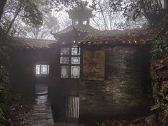 -武陵山森林公园