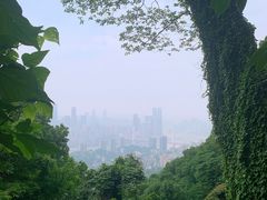 -南山植物园