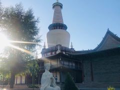 -张掖大佛寺景区