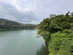 -佛山市三水区大南山森林公园