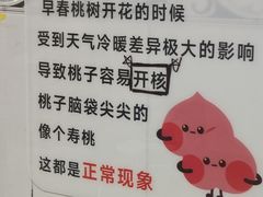 -老袁家蜜桃农场·阳山水蜜桃