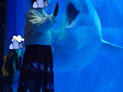 -多彩贵州城极地海洋世界