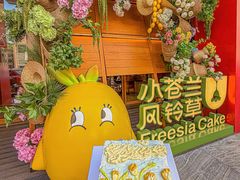 -小苍兰风铃草蛋糕甜品(沈阳店)