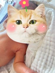 -大美母婴月子中心(虹桥店)