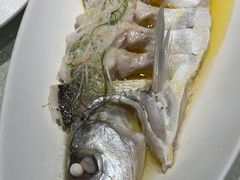 -金枝玉叶上海人家食府(三里河店)