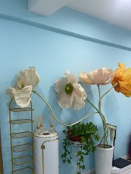 -斐尔国际皮肤管理中心