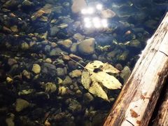 -楠溪江风景名胜区