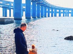 -星海湾跨海大桥