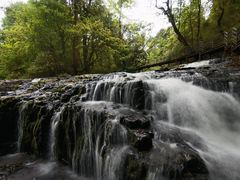 -龙苍沟森林公园
