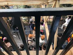 -哈利波特魔法世界