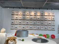 -柴务处·柴犬主题狗咖