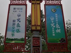 -御林古桑园