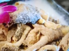 -新草堂锅物料理(泉城路店)