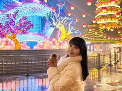 -芜湖方特东方神画